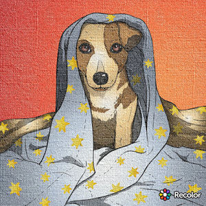 Meet your Posher, Cuteduck